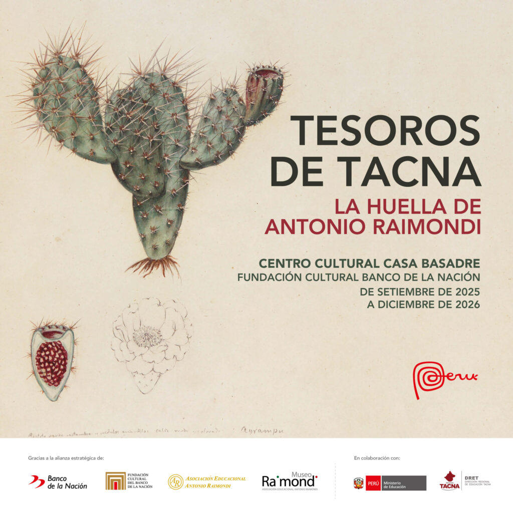 Tesoros de Tacna: La huella de Antonio Raimondi