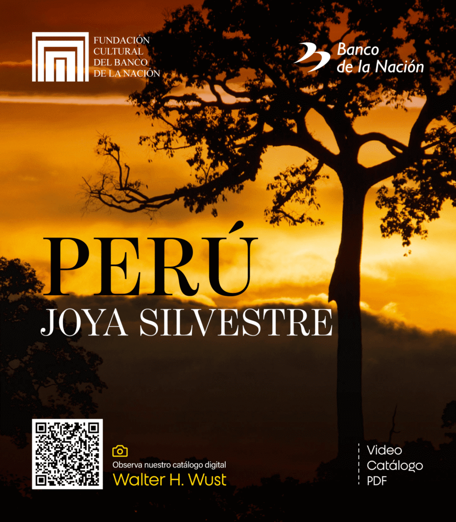 Celebramos nuestro 20 aniversario, presentándoles el catálogo digital "Perú Joya Silvestre" del fotógrafo y explorador Walter Wust, obra que revela la extraordinaria riqueza natural de nuestro país.