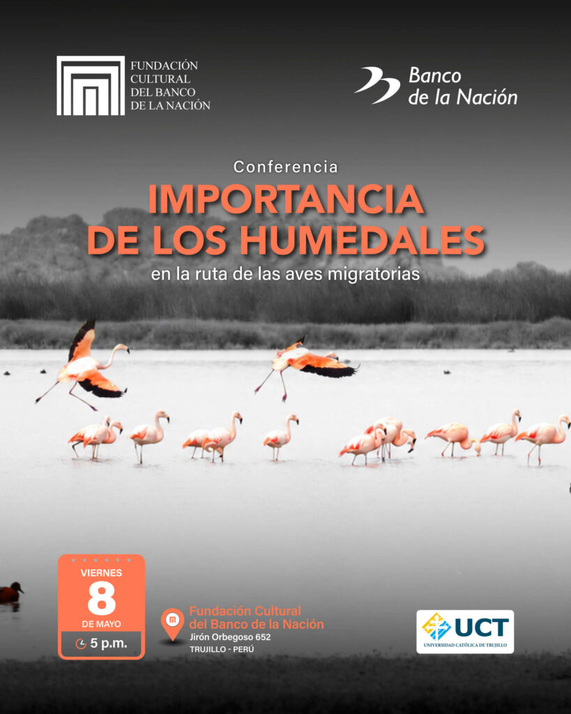 Importancia de los humedales en la ruta de las aves migratorias