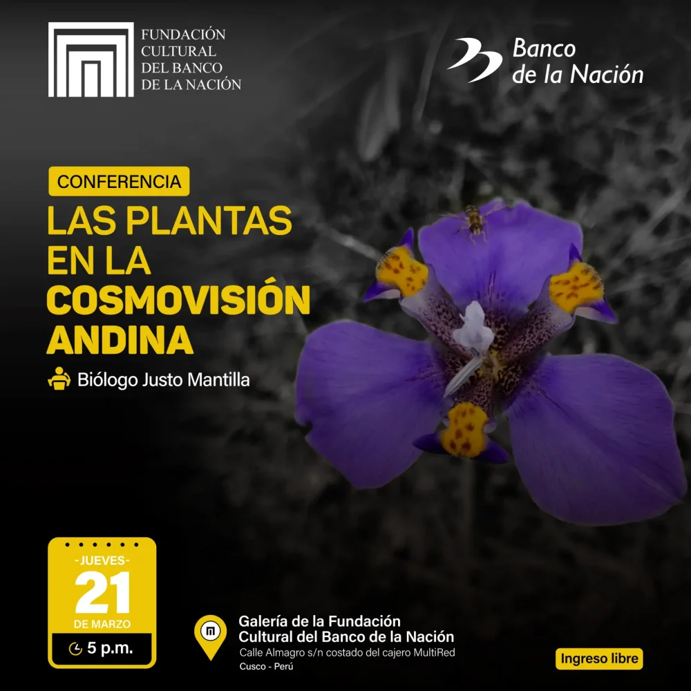 Conferencia_cusco_2