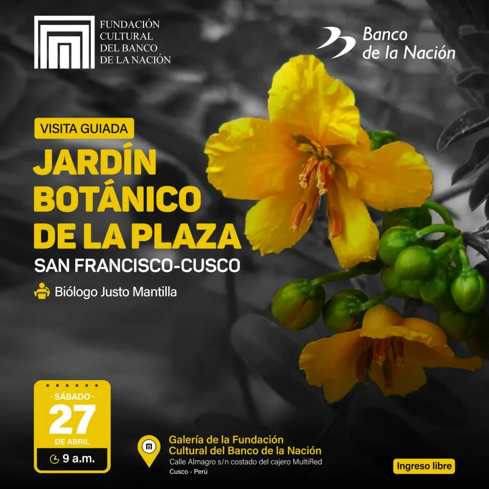 Conferencia_cusco_3