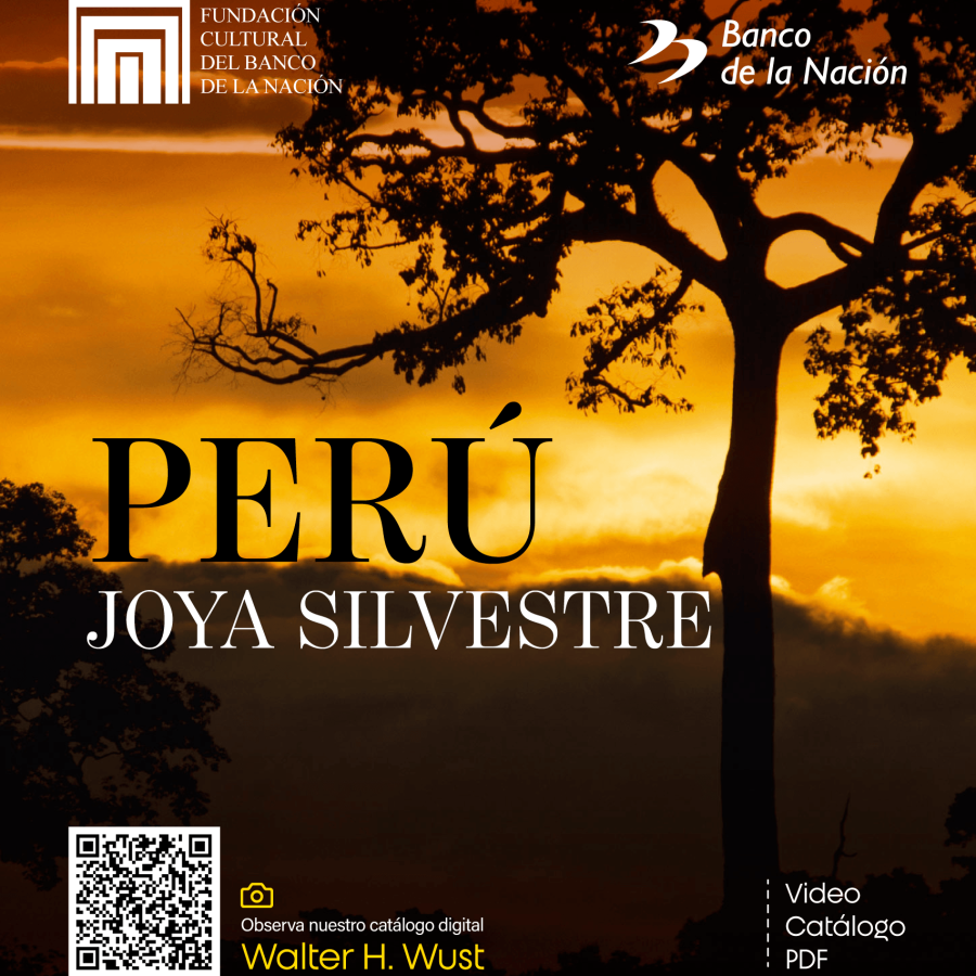 Celebramos nuestro 20 aniversario, presentándoles el catálogo digital "Perú Joya Silvestre" del fotógrafo y explorador Walter Wust, obra que revela la extraordinaria riqueza natural de nuestro país.