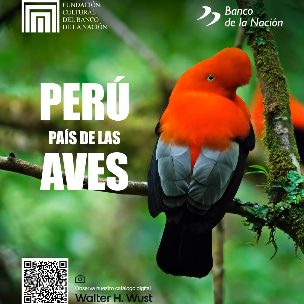 Perú país de las aves
