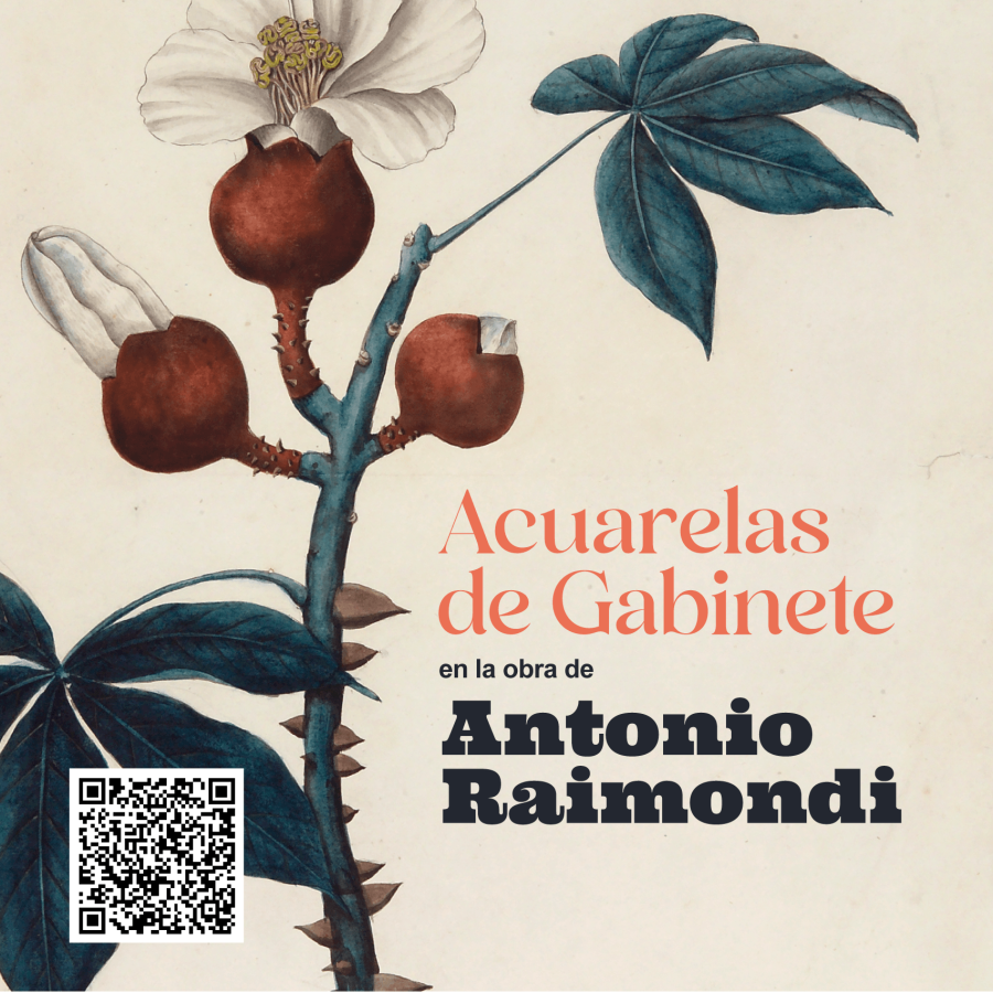 Acuarelas de Gabinete